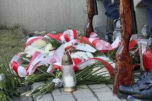 na zdjęciu kwiaty na ziemi