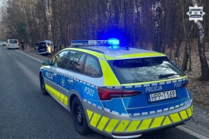 na zdjęciu radiowóz przed którym pojazd przy drzewie