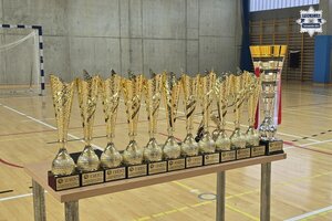 na zdjęciu puchary na stoliku w hali sportowej