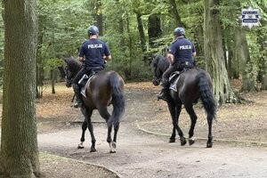 na zdjęciu policjanci na koniach w trakcie patrolu parku